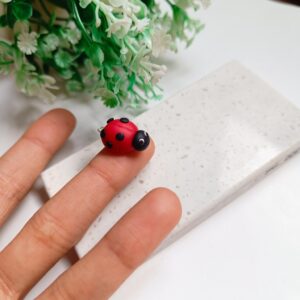 lady Bug Charm